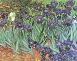 [Van Gogh Prints - Irises]