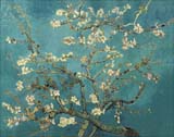 [Van Gogh Prints - Almond Blossom]